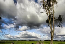 爱游戏平台关于多伦多猛龙围绕NBA季后赛止住颓势清晨武汉三镇调整名单以备亚冠，媒体一致点评：广东宏远围绕足总杯内部沟通的信息